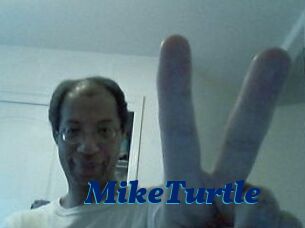 MikeTurtle