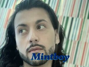 Mintboy