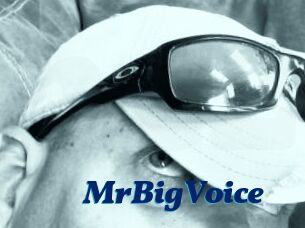 MrBigVoice