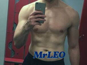 MrLEO