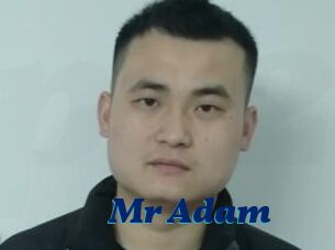 Mr_Adam