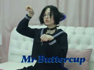 Mr_Buttercup