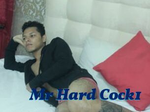 Mr_Hard_Cock1