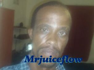 Mrjuiceflow