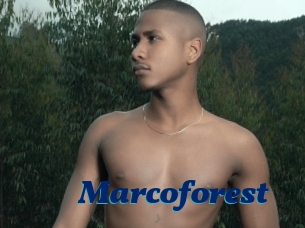 Marcoforest