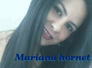 Mariana_hornet