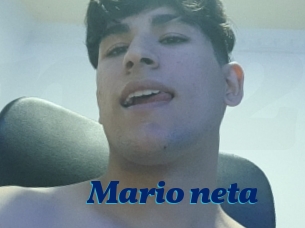 Mario_neta