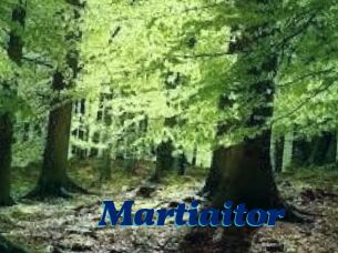 Martiaitor