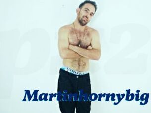 Martinhornybig