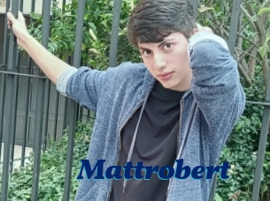 Mattrobert