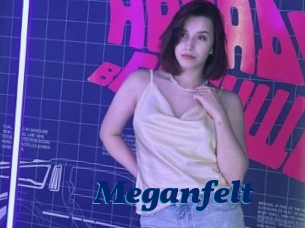 Meganfelt