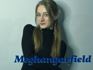 Meghangarfield