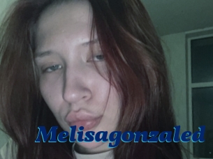 Melisagonzaled