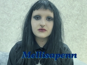 Mellisapenn