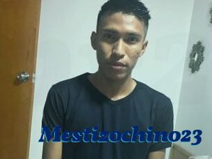 Mestizochino23