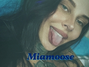 Miamoose