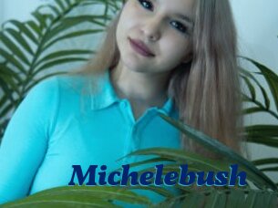 Michelebush