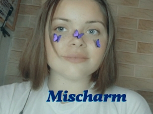 Mischarm