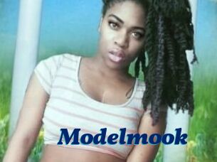 Modelmook