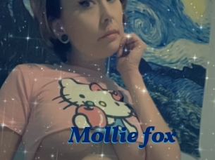 Mollie_fox