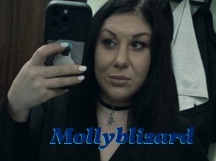 Mollyblizard