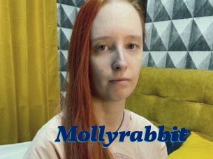 Mollyrabbit