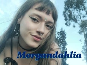 Morgandahlia