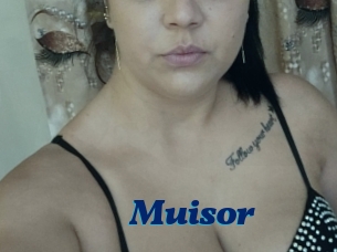 Muisor