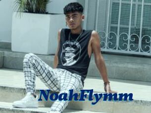 NoahFlymm