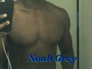 Noah_Grey