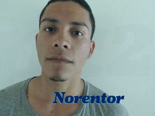 Noren_tor