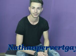 Nathanpervertgay