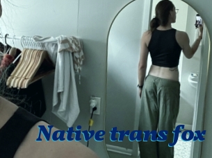 Native_trans_fox