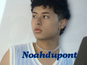 Noahdupont