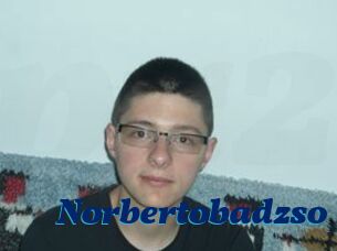 Norbertobadzso