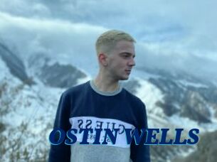 OSTIN_WELLS