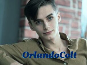 OrlandoColt