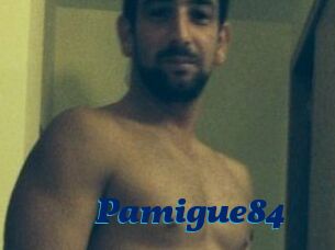 Pamigue84