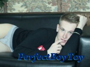 PerfectBoyToy