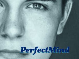 PerfectMind