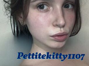 Pettitekitty1107