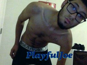 PlayfulJoe