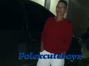 Polexcuteboyx