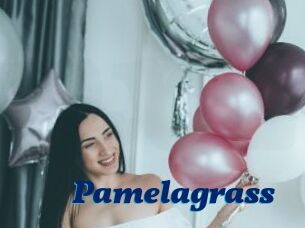 Pamelagrass