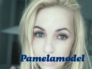 Pamelamodel