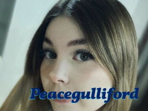peacegulliford Px 24