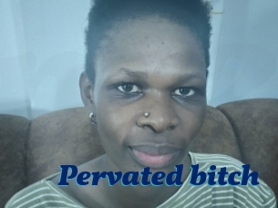 Pervated_bitch