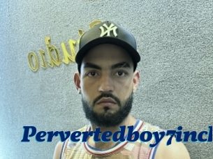 Pervertedboy7inch