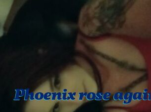 Phoenix_rose_again