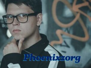 Phoenixzorg